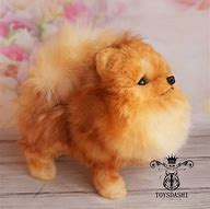 Image result for Cool Dog Stuff