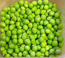 Image result for Small Green Pea Like Seeds