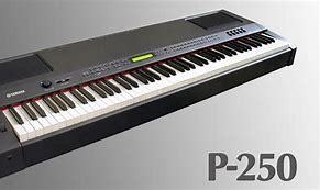 Image result for Digital Piano Small Speaker