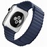 Image result for Apple Wristband Loop in Green and Blue
