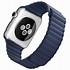 Image result for Apple Watch Series 3 Blue Band