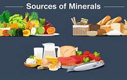 Image result for Minerals Food Sources