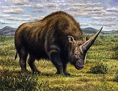 Image result for Rhino Unicorn Ice Age