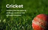 Image result for Blue Cricket Background