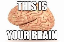 Image result for This Is Your Brain Meme