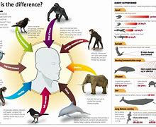 Image result for Difference vs Different