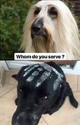 Image result for Saruman Dog Meme