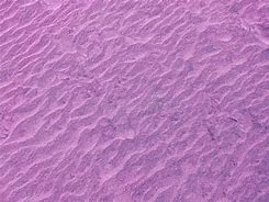 Image result for Stylized Seamless Sand Texture