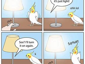 Image result for Bird Humor