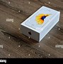 Image result for Box iPhone Depan