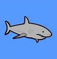 Image result for Shark Vector