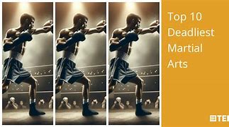 Image result for 10 deadliest martial arts