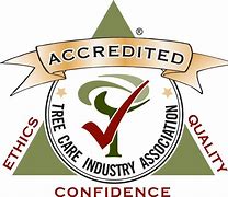 Image result for What Is a Accreditation Logo