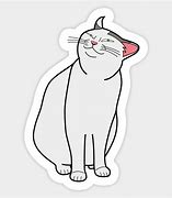 Image result for Smug Cat Meme