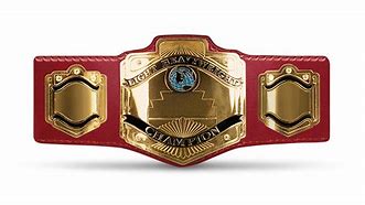 Image result for WCW Light Heavyweight Championship