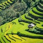 Image result for Vietnam