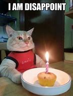 Image result for Sad Cat Birthday Meme