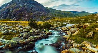 Image result for Snowdonia Whals