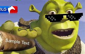 Image result for Funny Shrek MLG Meme