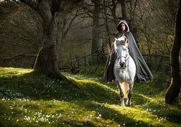 Image result for Medieval Aesthetic Horse