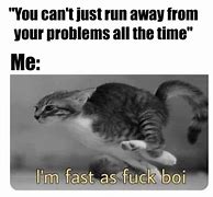 Image result for Cat Run Meme