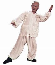 Image result for Wu Style Tai Chi 12 Form Names of Movies