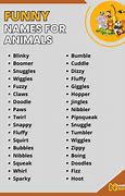 Image result for Animals with Funny Names