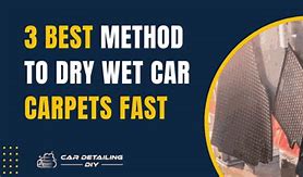 Image result for How to Dry Wet Car Carpet