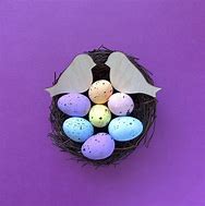 Image result for Edible Bird's Nest