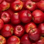 Image result for Classic Red Apple Wallpaper