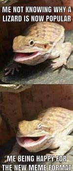 Image result for Happy Lizard Meme
