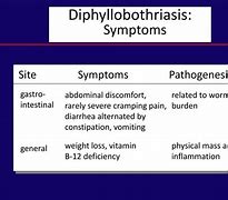 Image result for diphyllobothriasis