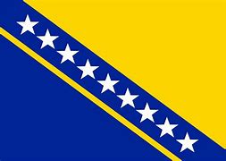 Image result for Bosnia Flag Redesign