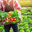 Image result for Organic Produce