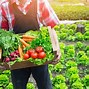 Image result for Local Produce Farms I Can Visit
