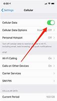 Image result for Cellular Data On iPhone