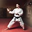 Image result for martial arts fighting training