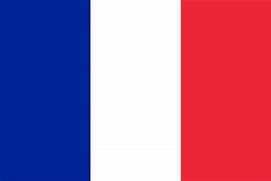 Image result for Frankryk Vlag