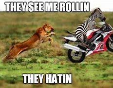Image result for They See Me Rollin Animal Meme