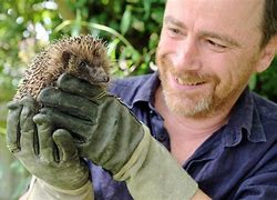 Image result for Giant Hedgehog