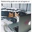 Image result for Cat News Meme