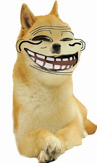 Image result for Doge Meme Format