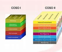 Image result for coso