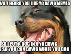 Image result for My Dawg Mem