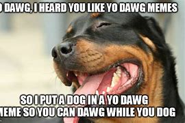 Image result for Oh My Dawg Meme