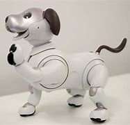 Image result for Sony Aibo Sitting