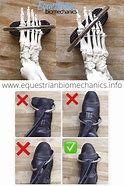 Image result for Correct Foot Position Riding