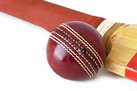 Image result for White Cricket Ball and Bat