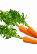Image result for Carrot Clip Art No Background