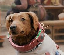 Image result for Cosmo Dog